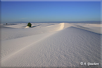 Schneeweiße Dünenlandschaft